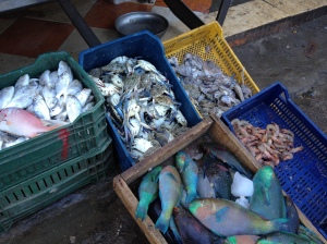 Fish at the Hurghada fresh market